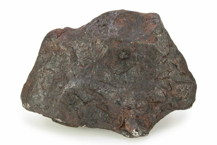 Canyon Diablo Iron Meteorite ( g) - Arizona #246909